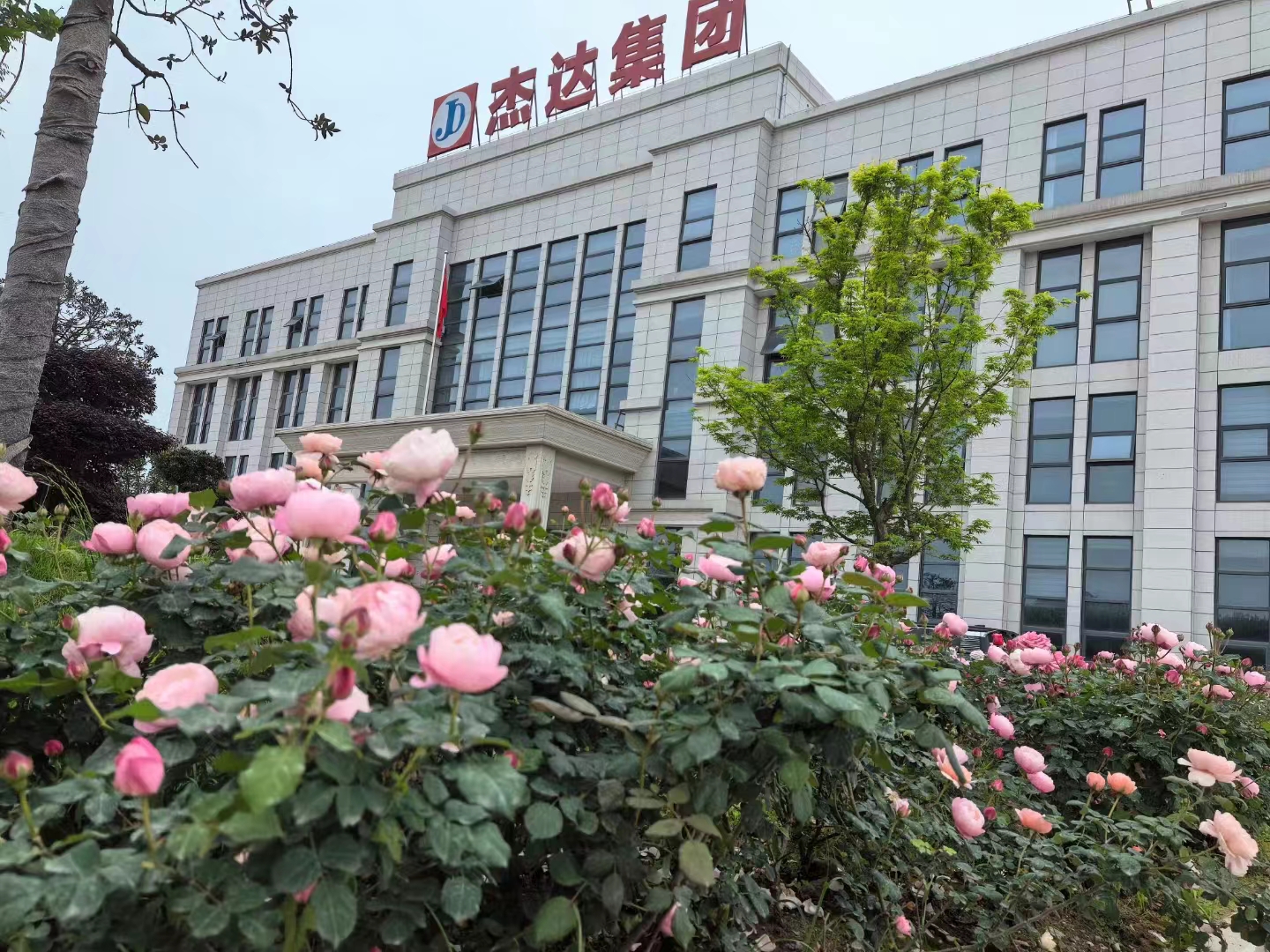 采購計(jì)劃